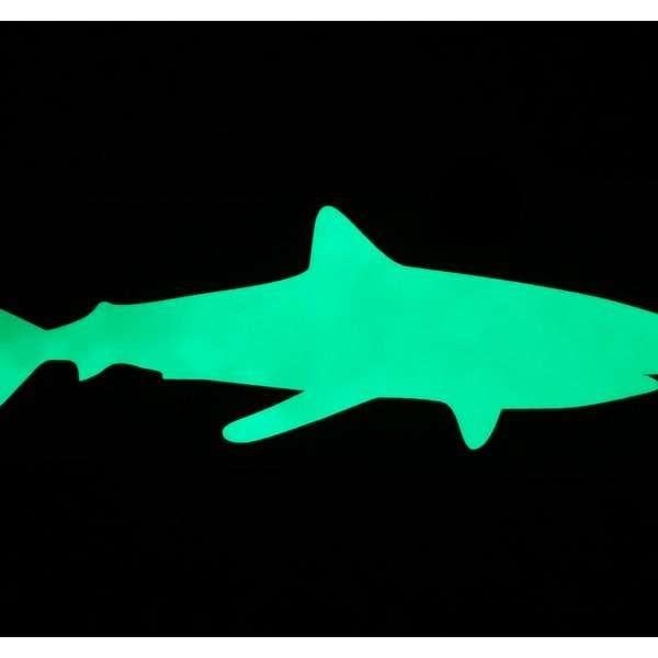 Large Shark Decals Etsy