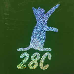 Playful Cat Wheelie Bin House Number Sticker Sparkle *effect*