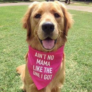 Ain't No Mama Like The One I Got Dog Bandana - Mothers Day Dog Bandana - Gift for Dog Mom - Mama Girl Dog Bandana - Mama Boy Dog Bandana