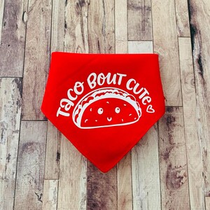 Taco Bout Cute - Dog Bandana - Cinco De Mayo Bandana