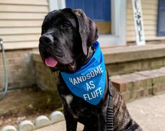 Handsome As Fluff | Dog Bandana | Boy Bandana