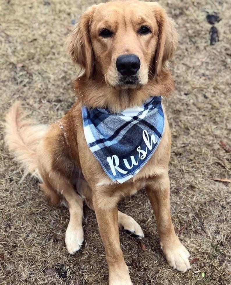 winter dog bandana