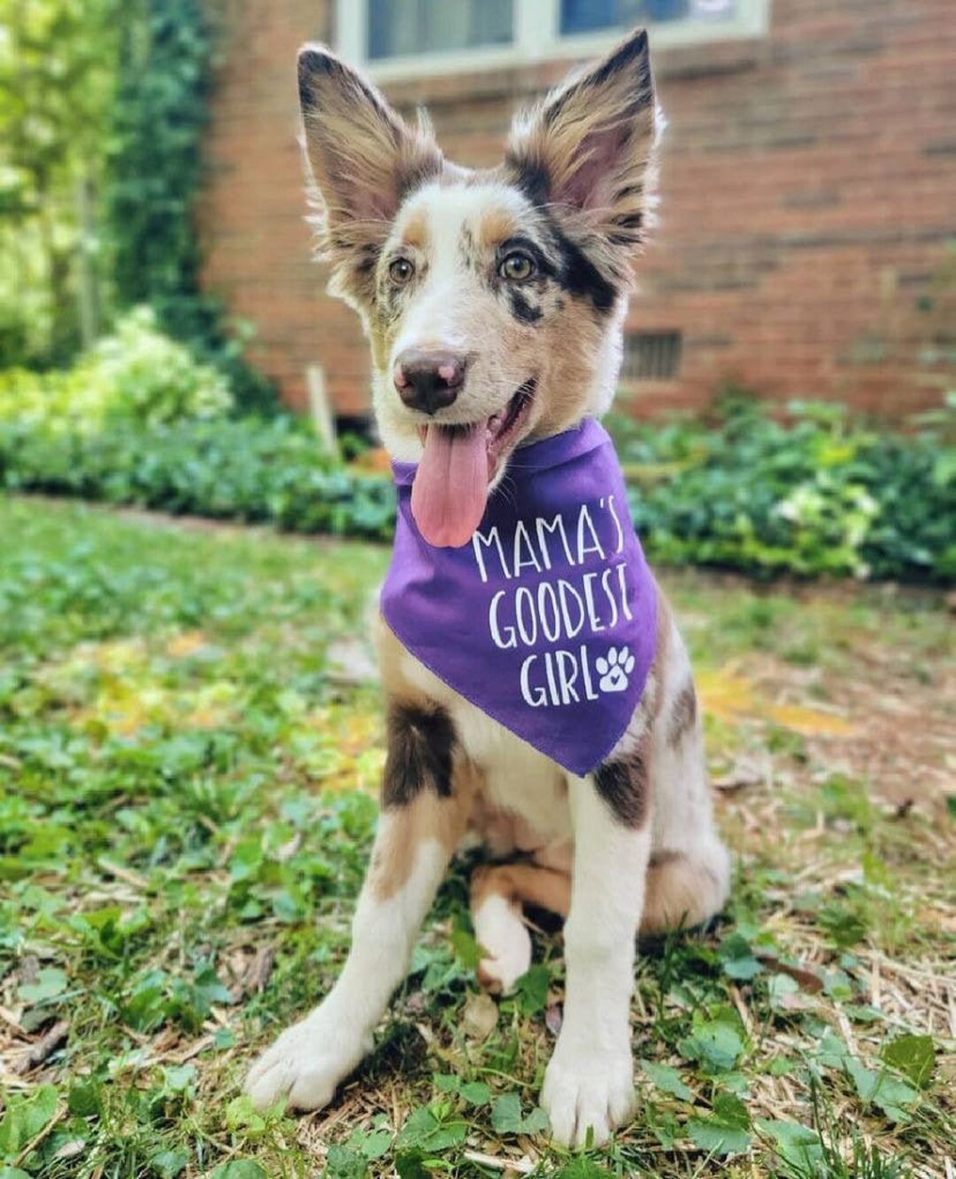 Mama's Goodest Girl Dog Bandana Funny Girl Dog Bandana Gift for Girl