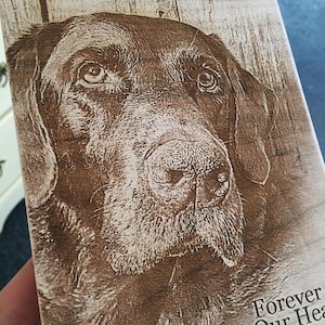 Pode incluir: Um close-up do rosto de um cão marrom e preto, com o texto "Forever in Our Hearts" na parte inferior da imagem.