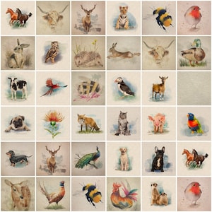 May include: A grid of watercolour animal paintings. The artwork features various animals such as horses, a highland cow, deer, a tiger cub, a bee, a robin, a rabbit, an owl, a hedgehog, a duck, a cow, a parrot, a bee, a puffin, a goat, a pug, a thistle, a fox, a cat, a pig, a lorikeet, a dachshund, a peacock, a labrador, a french bulldog, a deer, a horse, a deer, a pheasant, a bee, a rooster, and meerkats.