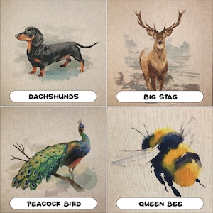 May include: A set of watercolour animal illustrations. Depicted are a dachshund, a stag with large antlers, a peacock bird on a branch, and a queen bee. Each image has a white label with the animal's name.