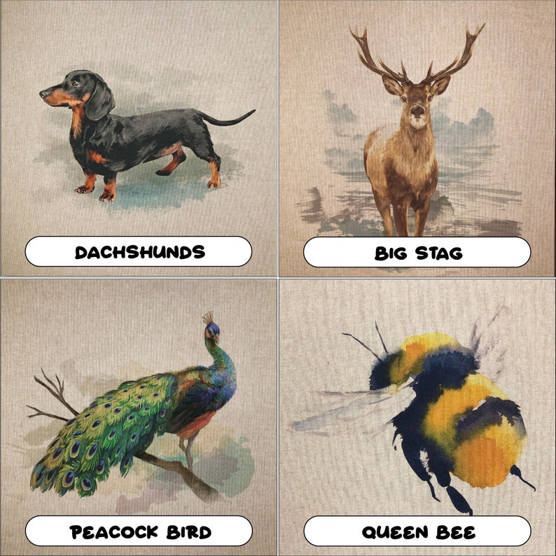 May include: A set of watercolour animal illustrations. Depicted are a dachshund, a stag with large antlers, a peacock bird on a branch, and a queen bee. Each image has a white label with the animal's name.