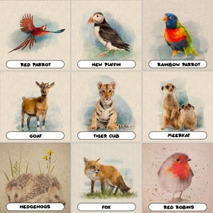 May include: Nine watercolour illustrations of animals, including a red parrot, puffin, rainbow parrot, goat, tiger cub, meerkats, hedgehogs, fox, and red robins. Each image has the animal's name in a white box below.