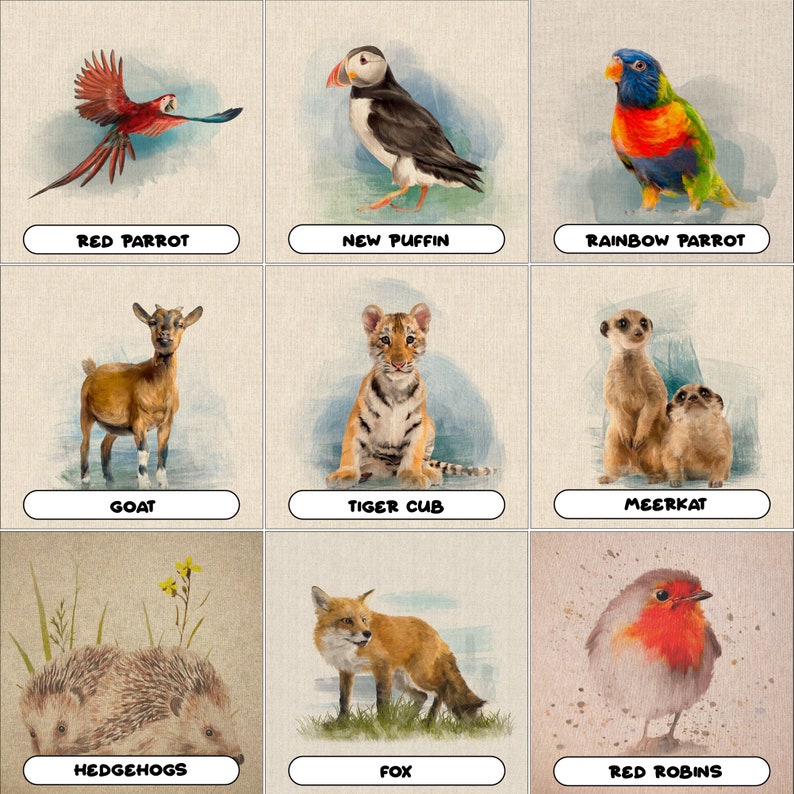 May include: Nine watercolour illustrations of animals, including a red parrot, puffin, rainbow parrot, goat, tiger cub, meerkats, hedgehogs, fox, and red robins. Each image has the animal's name in a white box below.