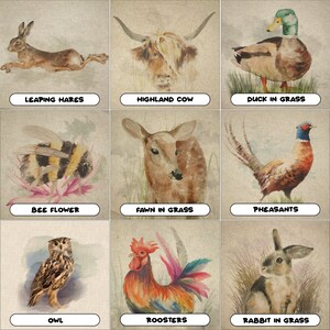 May include: Nine watercolour illustrations of animals, each with a title below. The images include a leaping hare, a Highland cow, a duck in grass, a bee on a flower, a fawn in grass, pheasants, an owl, roosters, and a rabbit in grass.