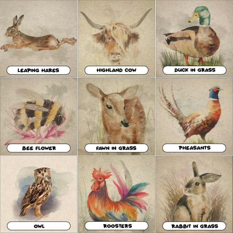 May include: Nine watercolour illustrations of animals, each with a title below. The images include a leaping hare, a Highland cow, a duck in grass, a bee on a flower, a fawn in grass, pheasants, an owl, roosters, and a rabbit in grass.