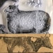 IOD Farm Animals Decor Stamp Iron Orchid Designs Use Paint or Ink ...