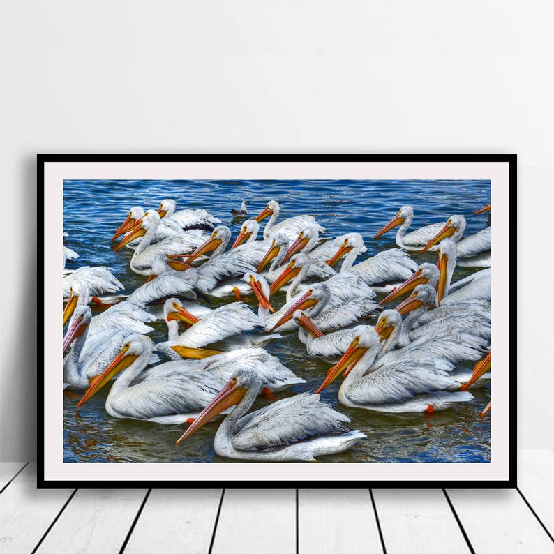 Pelicans Digital Print, Pelicans Wall Art,Digital Download Instant Download,Printable Art,Wall Decor, Art in Color image 1