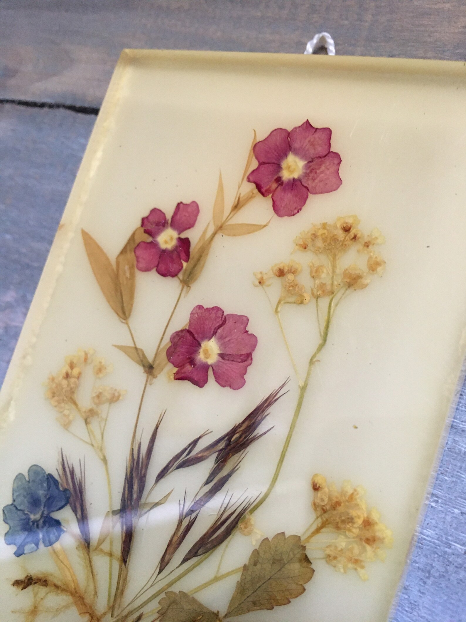 Vtg Cottagecore Victorian Pressed Flower Resin Art Lot Etsy