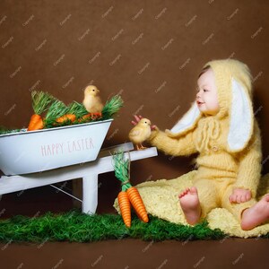 Digital Backdrops for Photographers / Easter Spring Chicks /Photoshop / Backgrounds and Overlays