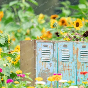 Digital Backdrops for Photographers / Rustic Sunflower Fields/Locker /Photoshop / Backgrounds and Overlays