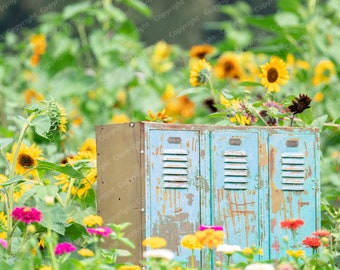 Digital Backdrops for Photographers / Rustic Sunflower Fields/Locker /Photoshop / Backgrounds and Overlays
