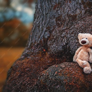 Digital Backdrops for Photographers / Fall Autumn Teddy Tree /Photoshop / Backgrounds and Overlays