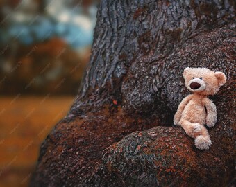 Digital Backdrops for Photographers / Fall Autumn Teddy Tree /Photoshop / Backgrounds and Overlays