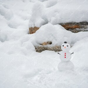 Digital Backdrops for Photographers / Photoshop / Backgrounds and Overlays/ Mini Snowman