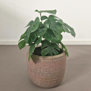 Op de afbeelding: Een kamerplant met een monstera met ingesneden bladeren in een cilindervormige keramische pot. De pot heeft een gespikkelde, textuurrijke afwerking met een verloop van gedempt roze en aardse bruintinten, voorzien van een gladde, ronde rand.