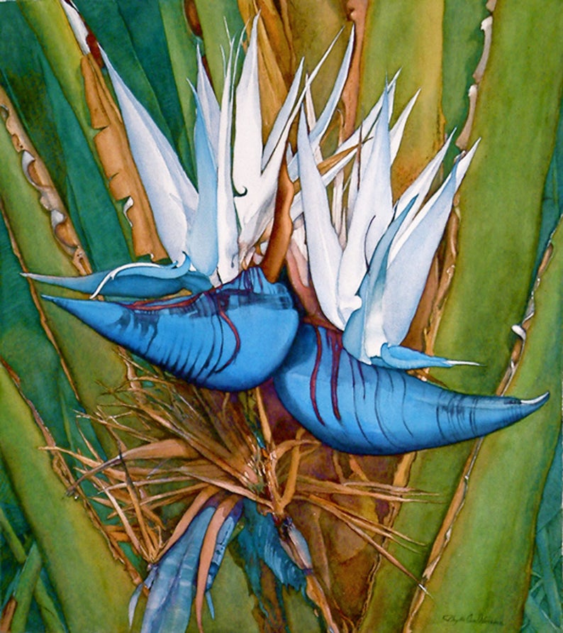 Bird of paradise, watercolor giclee art print tropical exotic colorful blues and white by Phyllis Nathans image 1