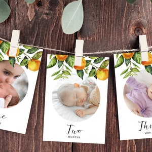 First Year Photos Banner Template, Printable Little Cutie First Birthday Monthly Photo Banner, 12 Months Photos, Instant Download Templett