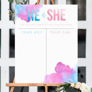 Gender Reveal Sign sjabloon, jongen of meisje grafiek, Gender Reveal Decor, Gender Reveal Banner, blauw of roze grafiek teken afdrukbaar, Templett, B14