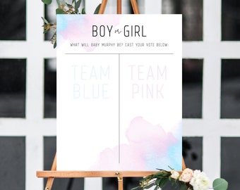 Gender Reveal Sign Template, Boy or Girl Chart, Gender Reveal Decor, Gender Reveal Banner, Blue or Pink Chart Sign Printable, Templett, B01