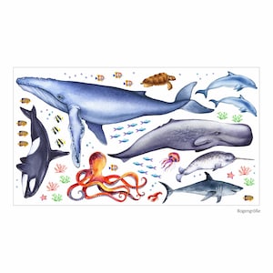166 Wall Decal Animals Of The Seas Blue Whale Shark Etsy Ireland 166 Wall Decal Animals Of The Seas Blue Whale Shark Etsy Ireland