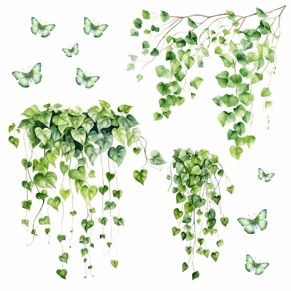 goldfruchtpalme welche erde Große tierfreundliche Goldfruchtpalme – Green Me Up main image 1