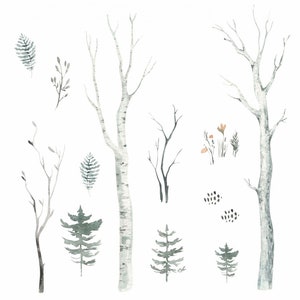 204 Wall decal forest watercolor - birch trunks fir branches