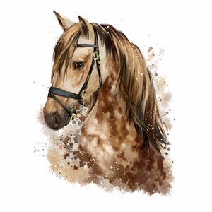085 wall decal horse head brown - children&#39;s room teenager decal sticker mural wall decoration riding in 6 sizes *nikima*