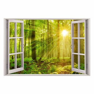 Könnte beinhalten: Ein weißer Fensterrahmen mit Blick auf einen üppigen grünen Wald mit Sonnenstrahlen, die durch die Bäume scheinen.