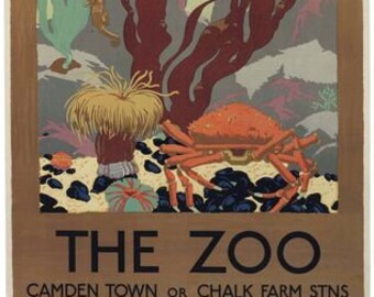 Vintage London Zoo Giant Crab Promotional Poster A3 Print