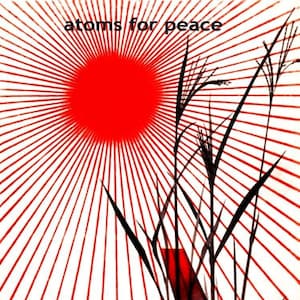 Peut inclure: Un soleil rouge avec des rayons qui en rayonnent, sur un fond blanc avec des silhouettes noires de hautes herbes. Le texte "atoms for peace" est en haut de l'image, et le texte "GENERAL DYNAMICS" est en bas.