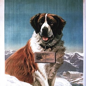 Vintage St Bernard Dog Suchard Chocolate Advertisement Poster A3/A2/A1 Print