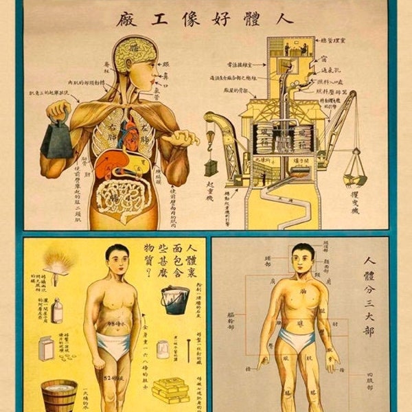 1930'S Chinese Medical Chart Of Human Anatomy Is Like A Machine  Illustration A3 Poster Reprint