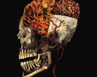 Mutter Museum Medical Anatomy Chart Skull Illustration 8x10 Canvas Art Print New