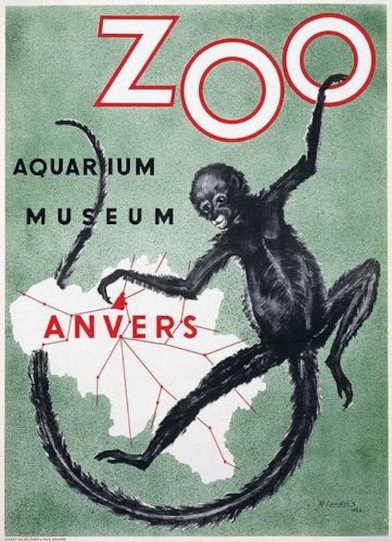 Vintage Anvers Zoo Tourism Poster A3 Print - Etsy Canada