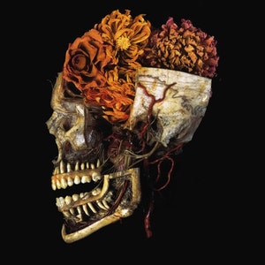 Op de afbeelding: Een menselijke schedel met gedroogde bloemen erop. De schedel is in profiel te zien en de bloemen zijn oranje, rood en bruin. De schedel is een medisch preparaat en de bloemen zijn een decoratief element.