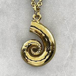 May include: A gold-toned necklace with a hammered, spiral-shaped pendant. The pendant resembles a seashell.