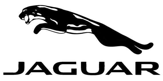 Items similar to 8" Jaguar High Quality Vinyl Lettering Logo Decal