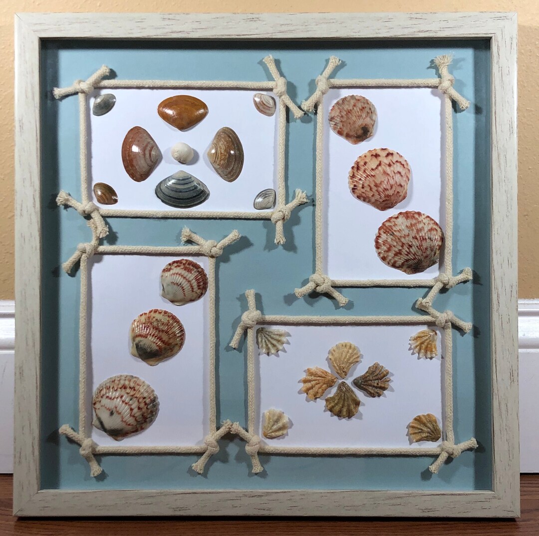 Seashell Wall Décor Seashell Shadow Box Beach Décor Coastal Home Décor