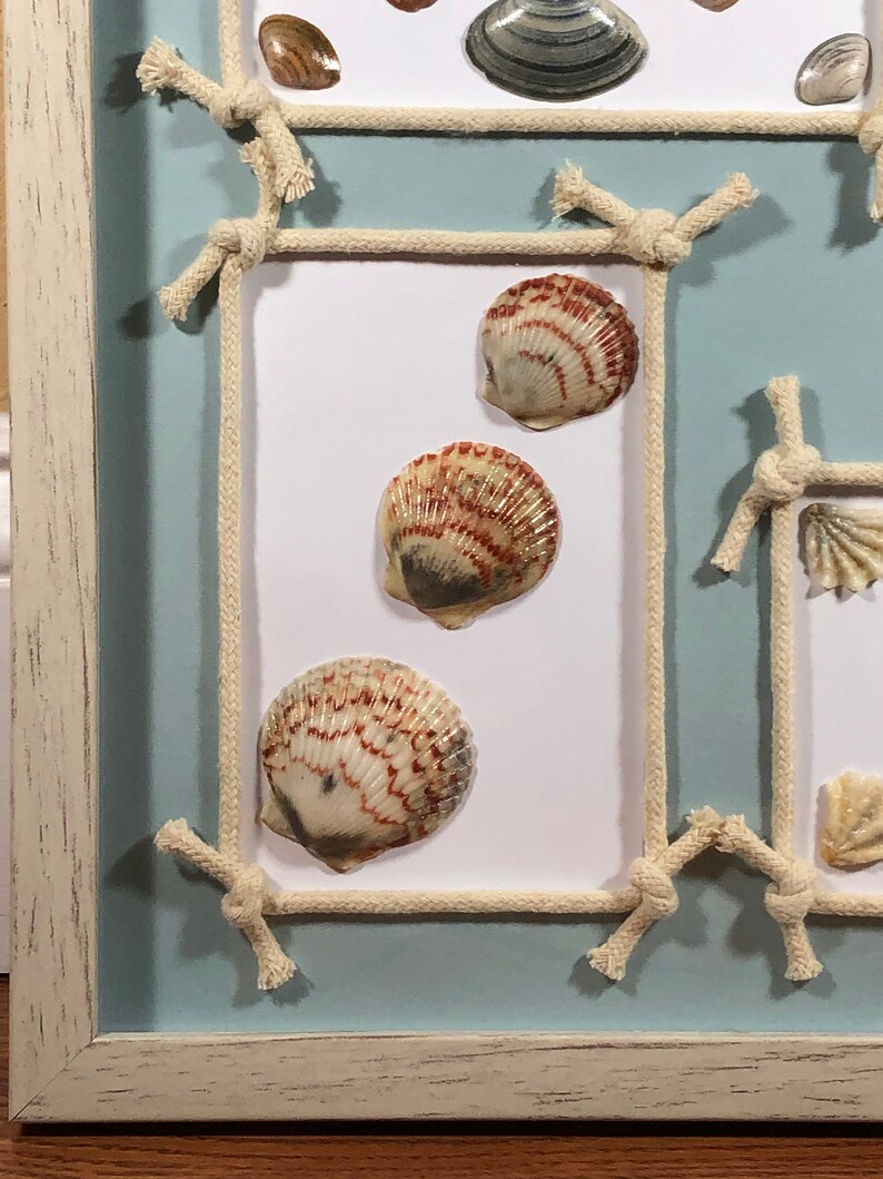 Seashell Wall Décor Seashell Shadow Box Beach Décor Coastal Home Décor