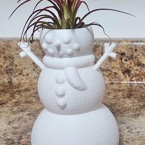May include: A white snowman-shaped planter with a small, round head, a scarf, and three buttons. The planter holds a plant with long, thin, red and green leaves. The snowman has twig arms and a smiling face.