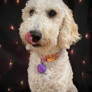 Personalized Apple AirTag Case for Collar