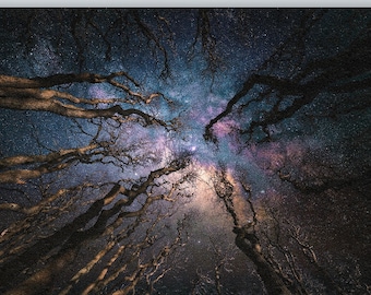 Milky Way art Milky Way print  Milky Way wall art Milky Way Forest Print tree art Milky Way canvas large wall art celestial decor night sky