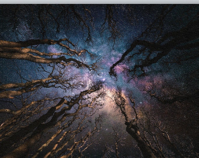 Milky Way print  Milky Way wall art Milky Way Forest Print  Milky Way art print tree art Milky Way canvas large wall art celestial decor