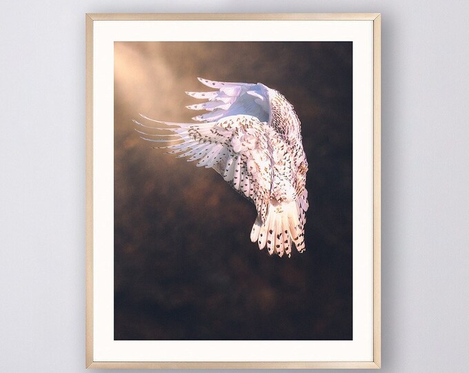 Snowy Owl photo Print snowy owl art snowy owl photograph owl gift vertical wall decor